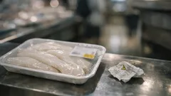 オイリーフィッシュ（バターフィッシュ）とは？ワックスエステルの特徴と注意点をわかりやすく解説